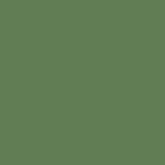 Colores-especiales---BK-Verde-(100).jpg